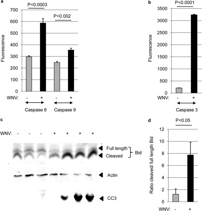 FIG 2