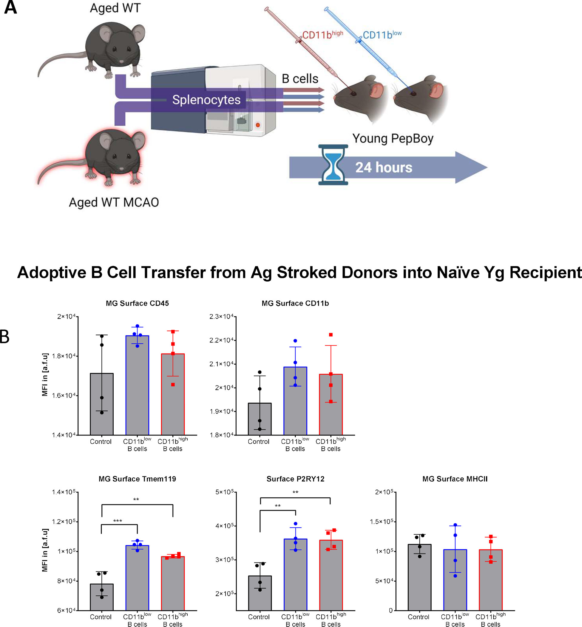 FIGURE 4.