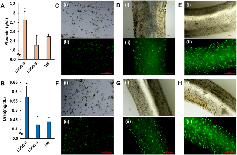 Fig. 7