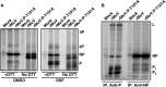 FIG 8