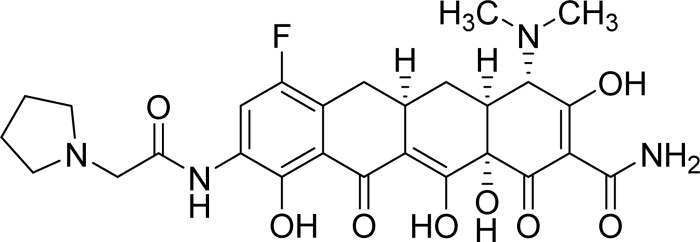 FIG 1