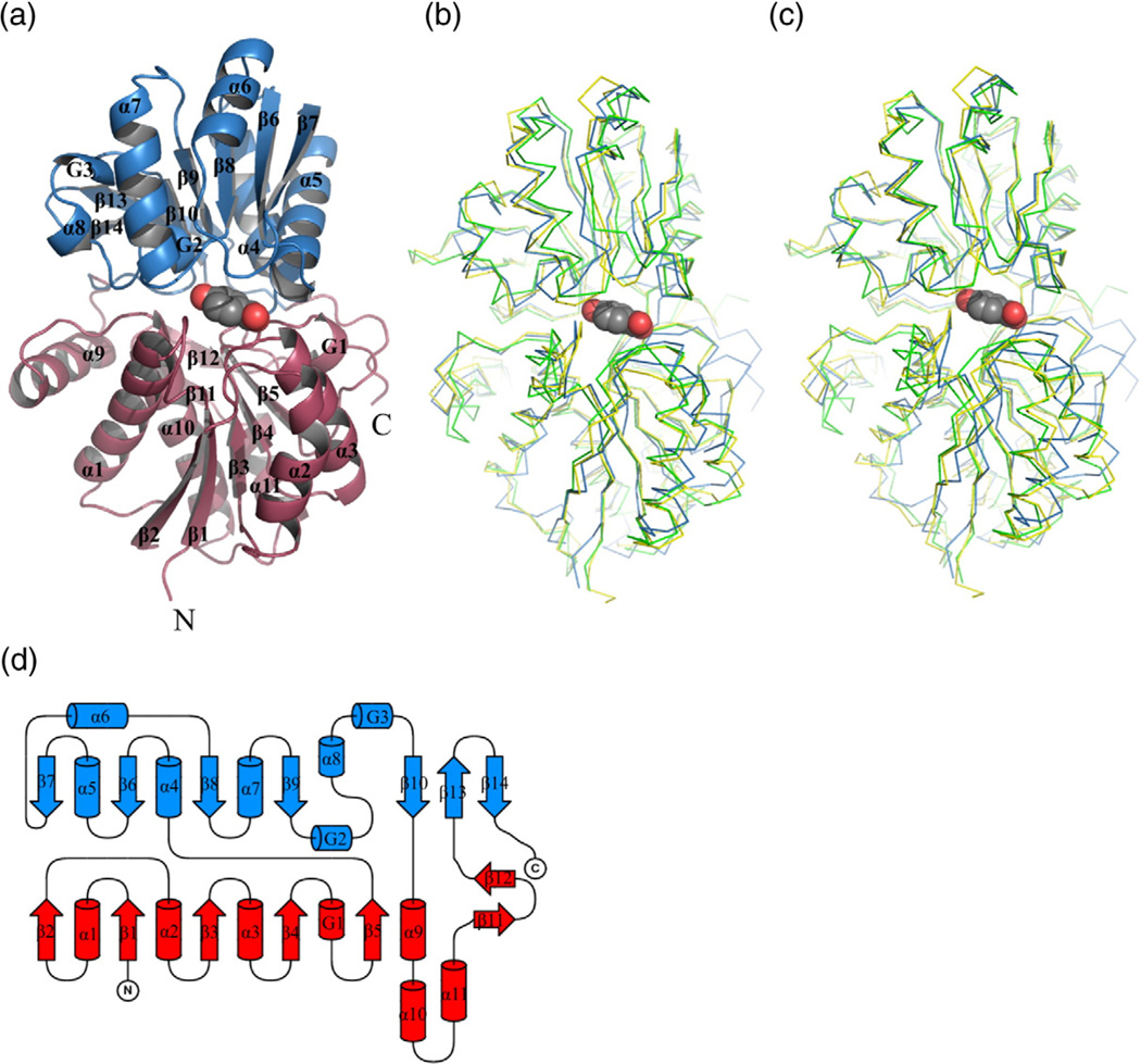 Fig. 3