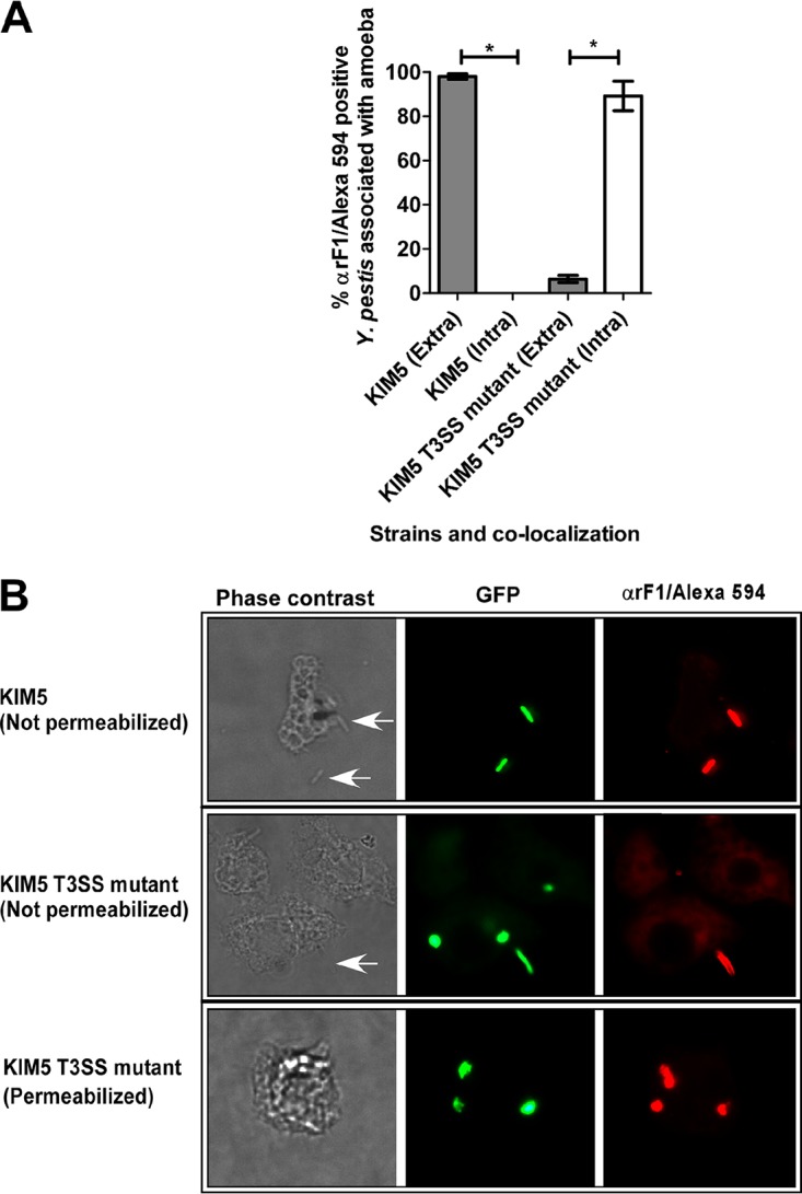 FIG 6