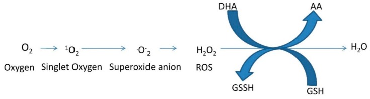 Scheme 2