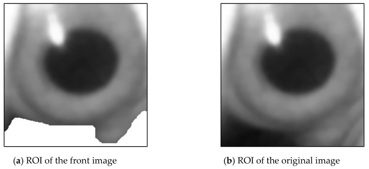 Figure 28