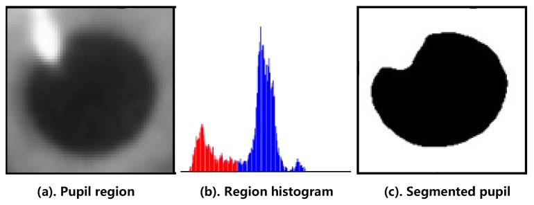 Figure 17