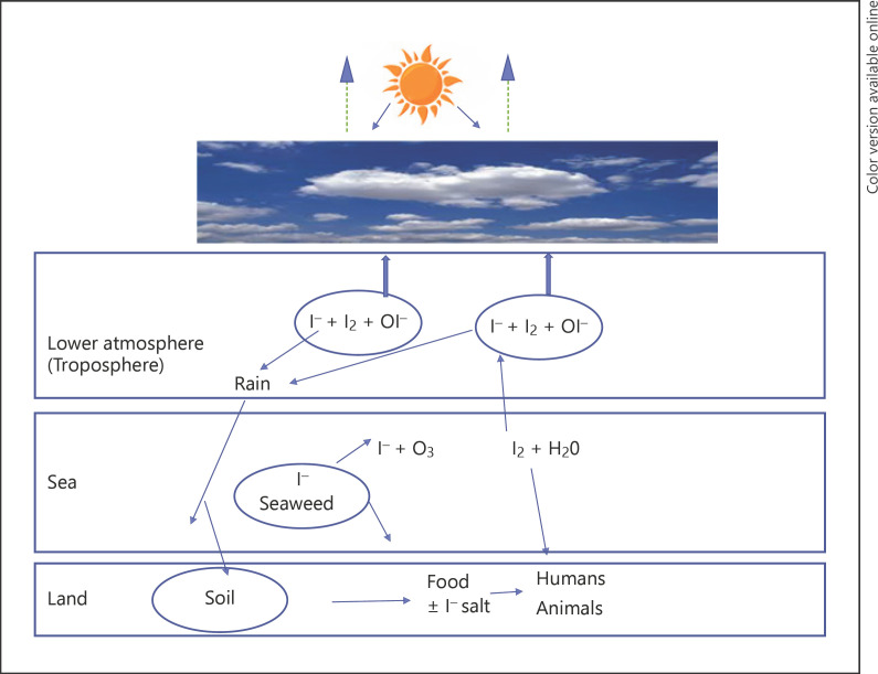 Fig. 1