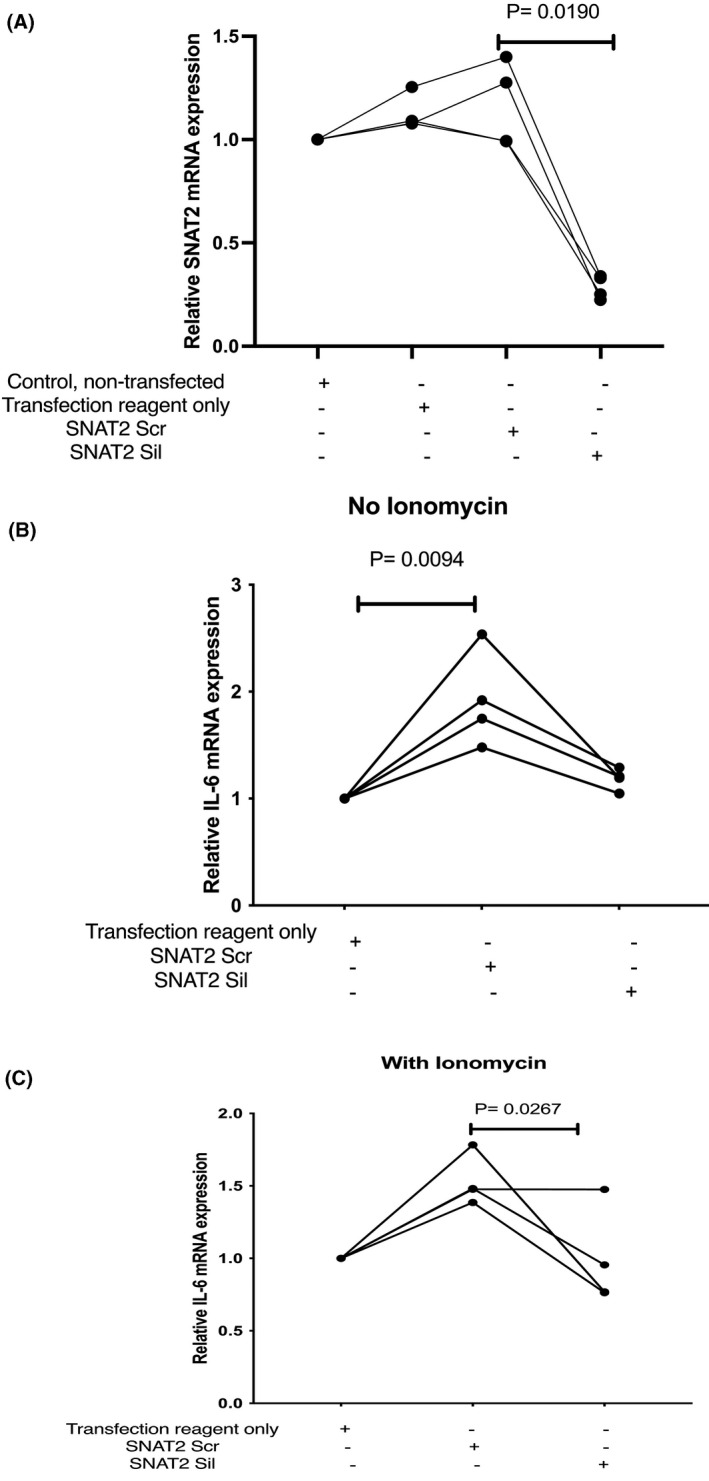 FIGURE 4