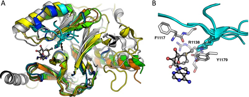 Fig. S2.