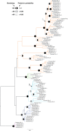 <sc>Fig</sc>. 2.