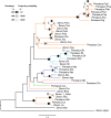 <sc>Fig</sc>. 4.