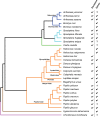 <sc>Fig</sc>. 6.