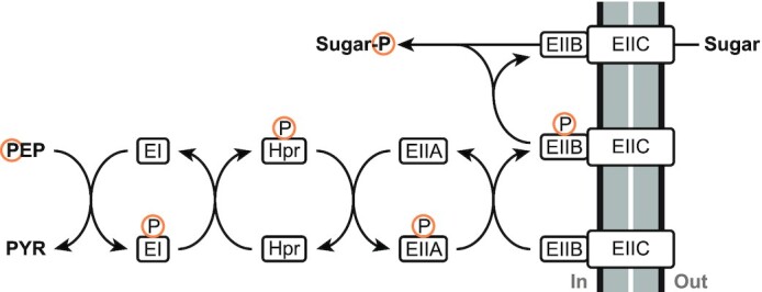 Figure 7.