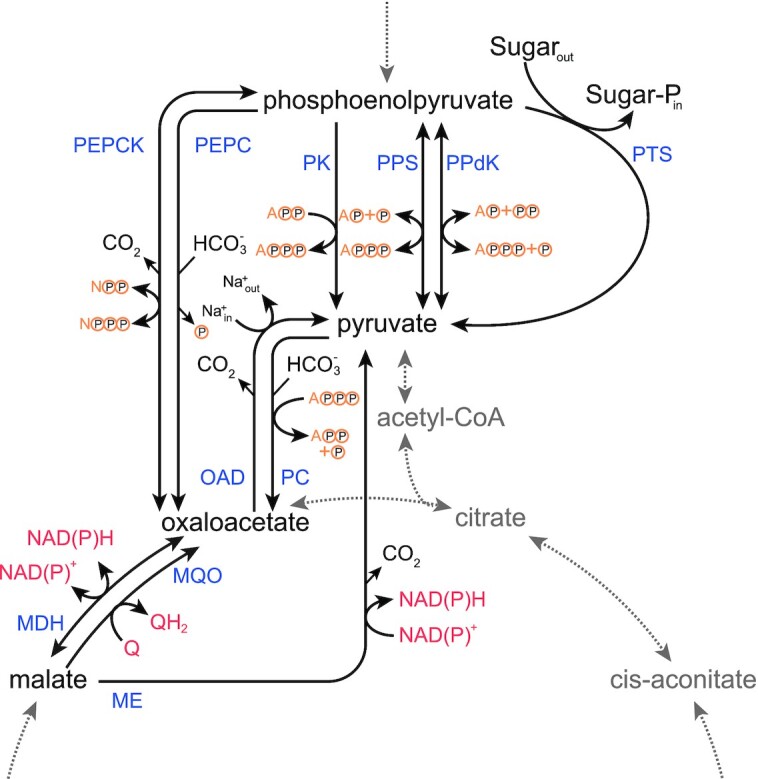 Figure 2.