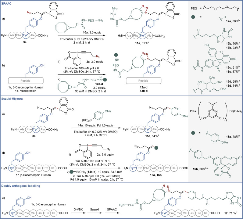 Scheme 5