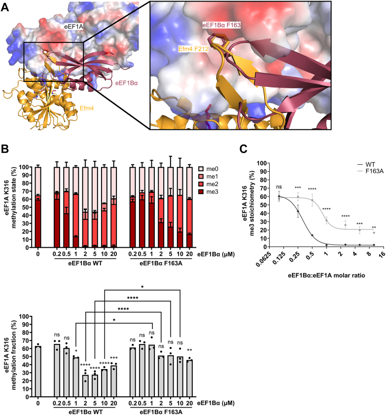 Figure 4