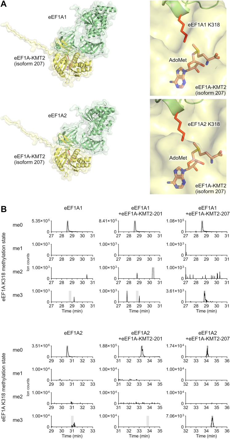 Figure 6