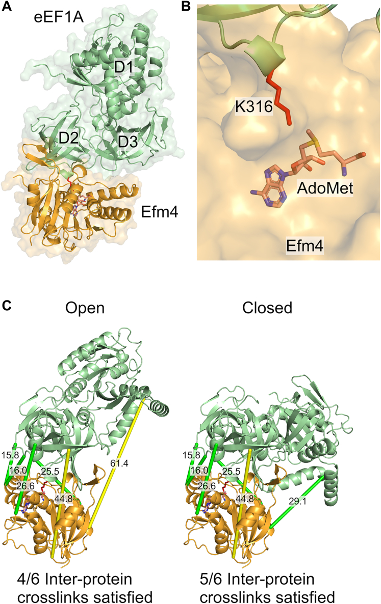 Figure 1