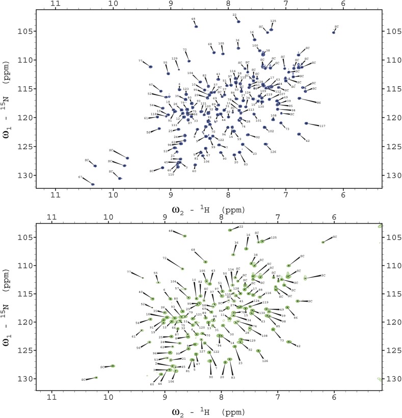 Figure 1—figure supplement 1.