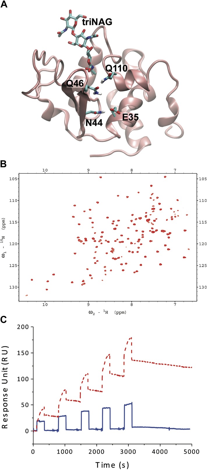 Figure 4—figure supplement 3.