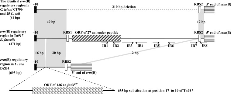 FIG 1