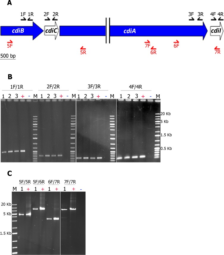 Fig 4