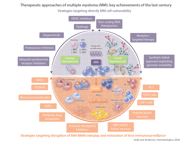 Graphical Abstract