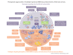Graphical Abstract