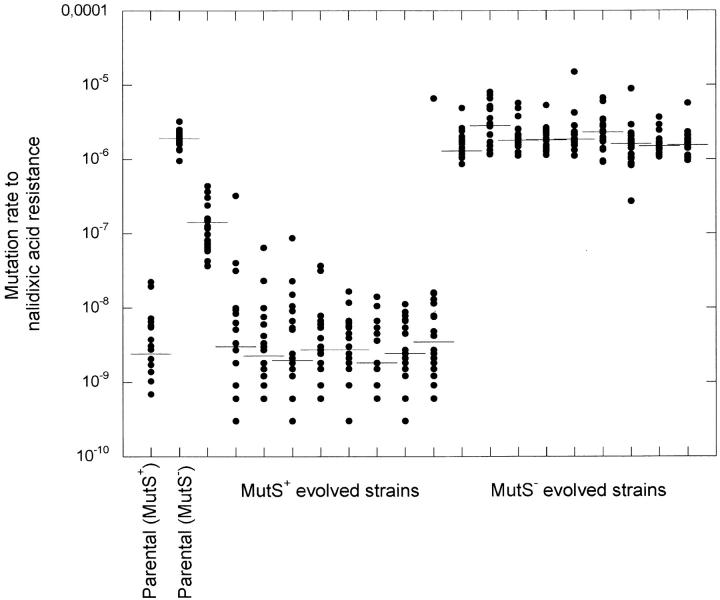 Figure 1.—