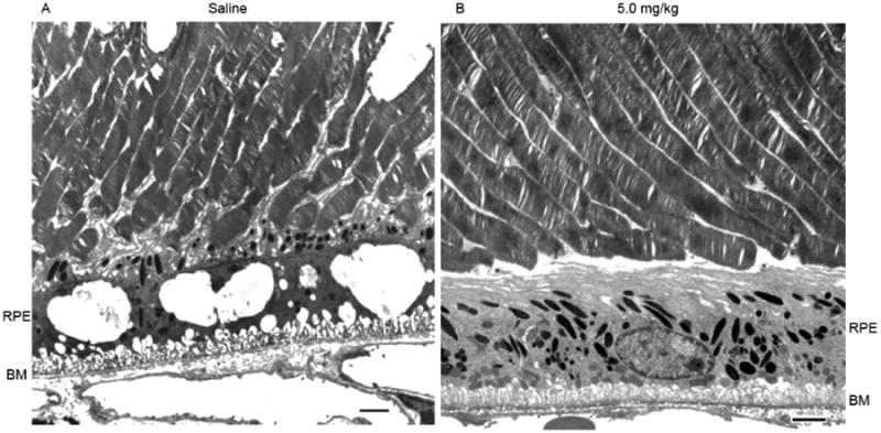 Fig. 11