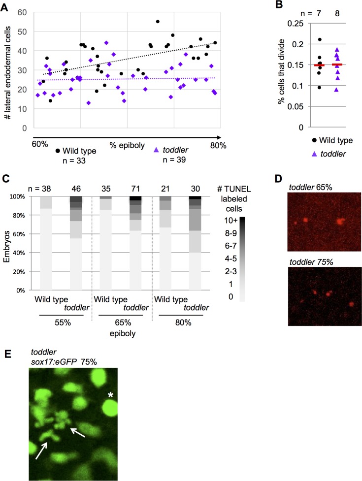 Figure 1—figure supplement 1.