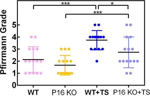 Figure 4—figure supplement 3.