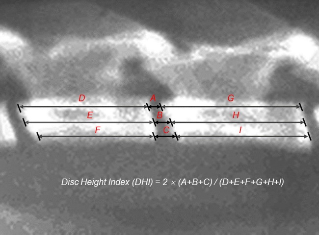 Figure 4—figure supplement 4.