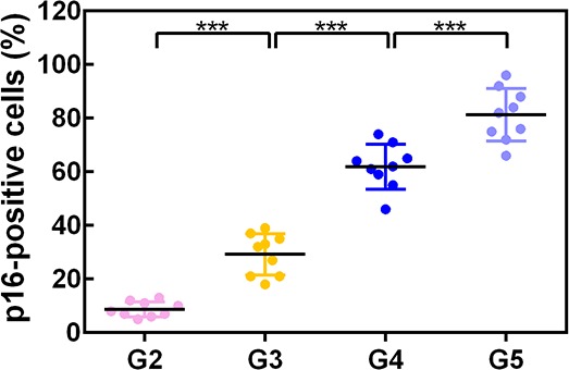 Figure 1—figure supplement 2.