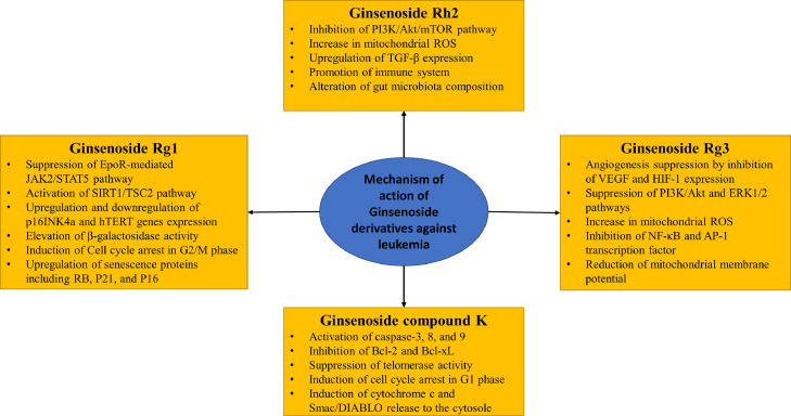 Figure 4: