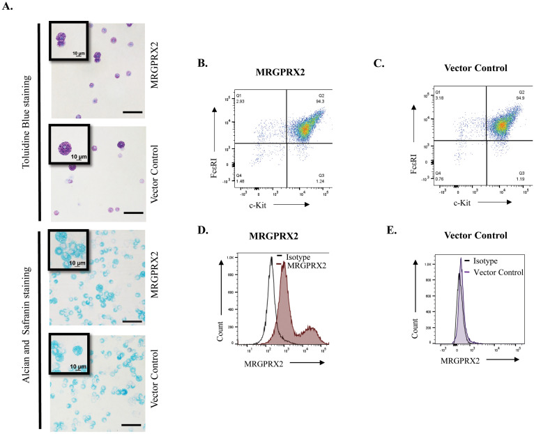 Figure 2