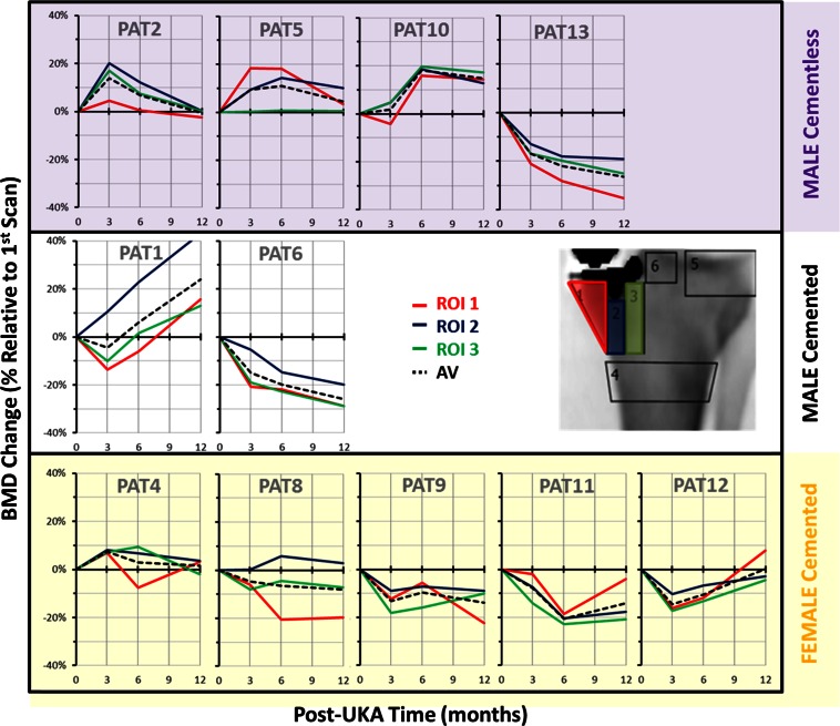 Fig. 3