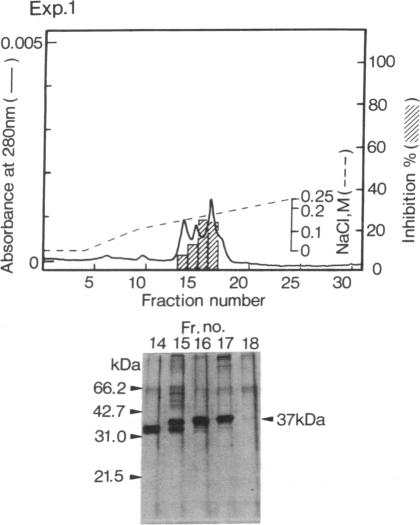 graphic file with name pnas01032-0023-b.jpg