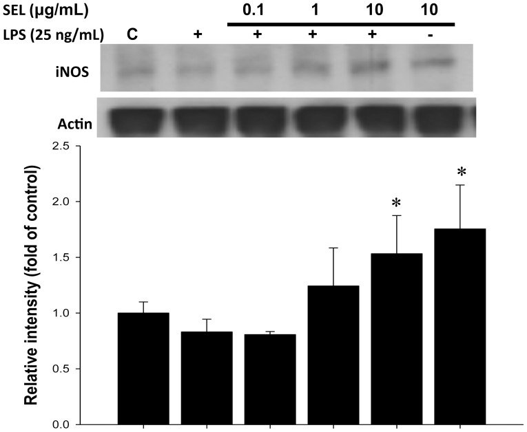 Figure 10