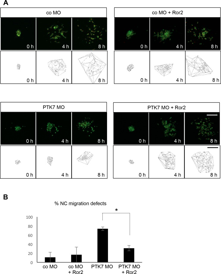 Fig 4