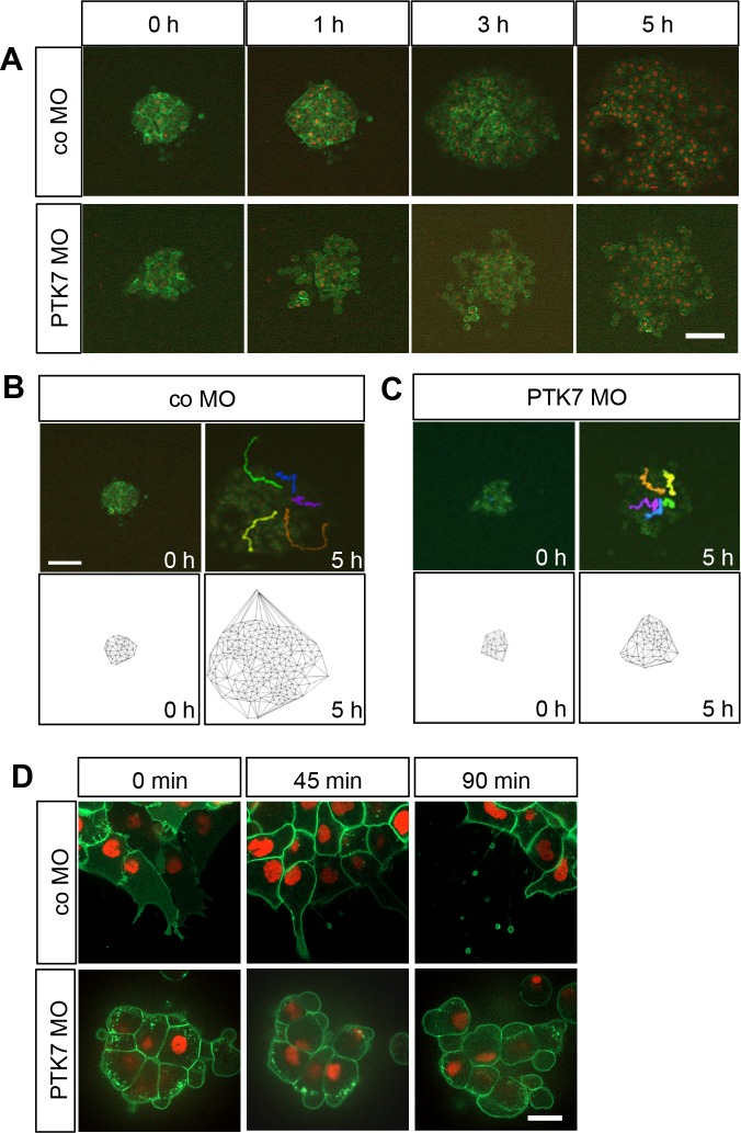 Fig 3