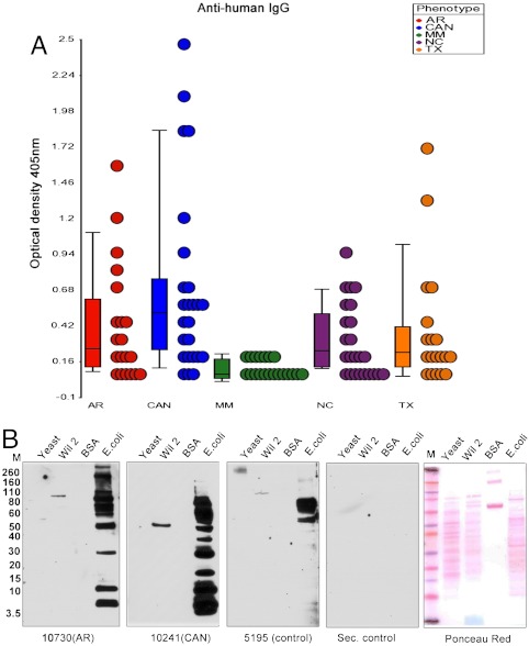 Fig. 4.