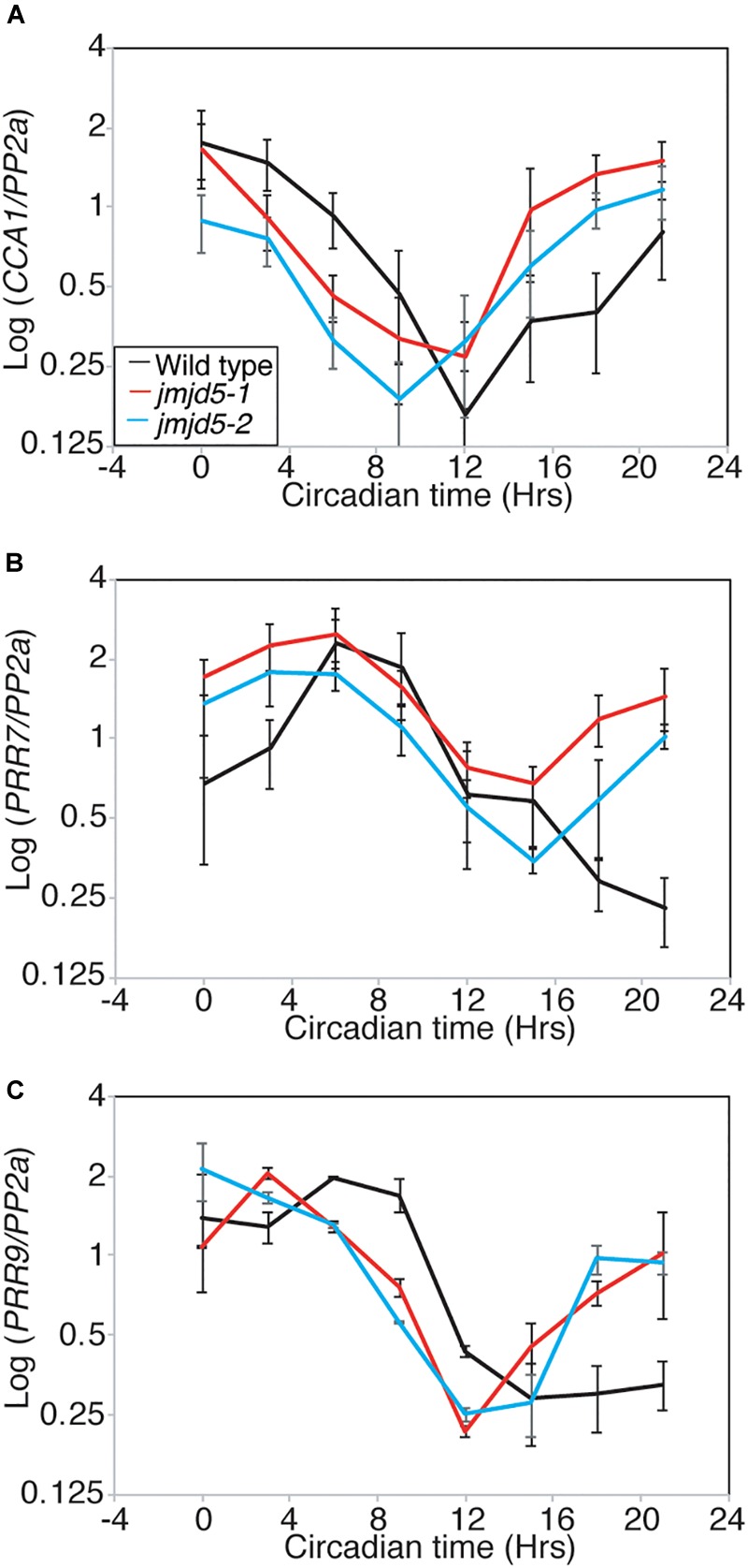 FIGURE 5