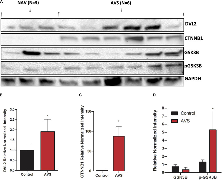 FIGURE 3