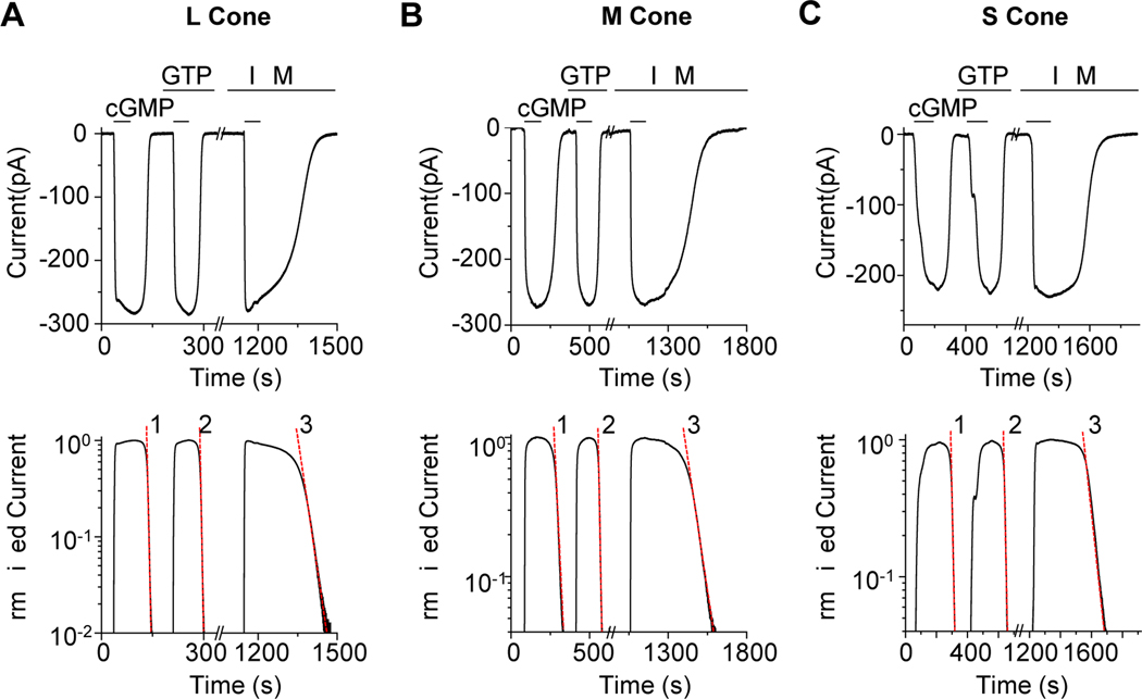 Figure 2.