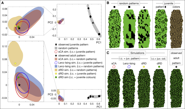 Figure 2