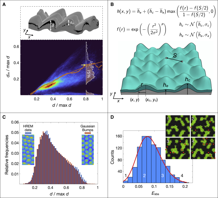 Figure 5