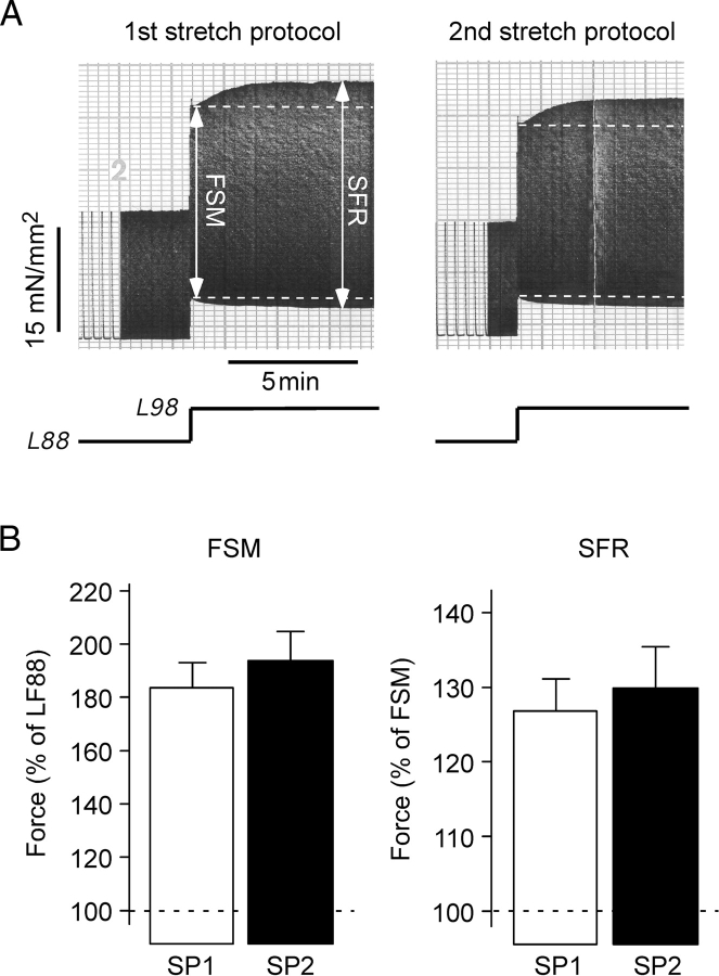 Figure 2