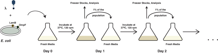 Figure 4—figure supplement 1.