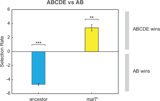 Figure 3—figure supplement 1.